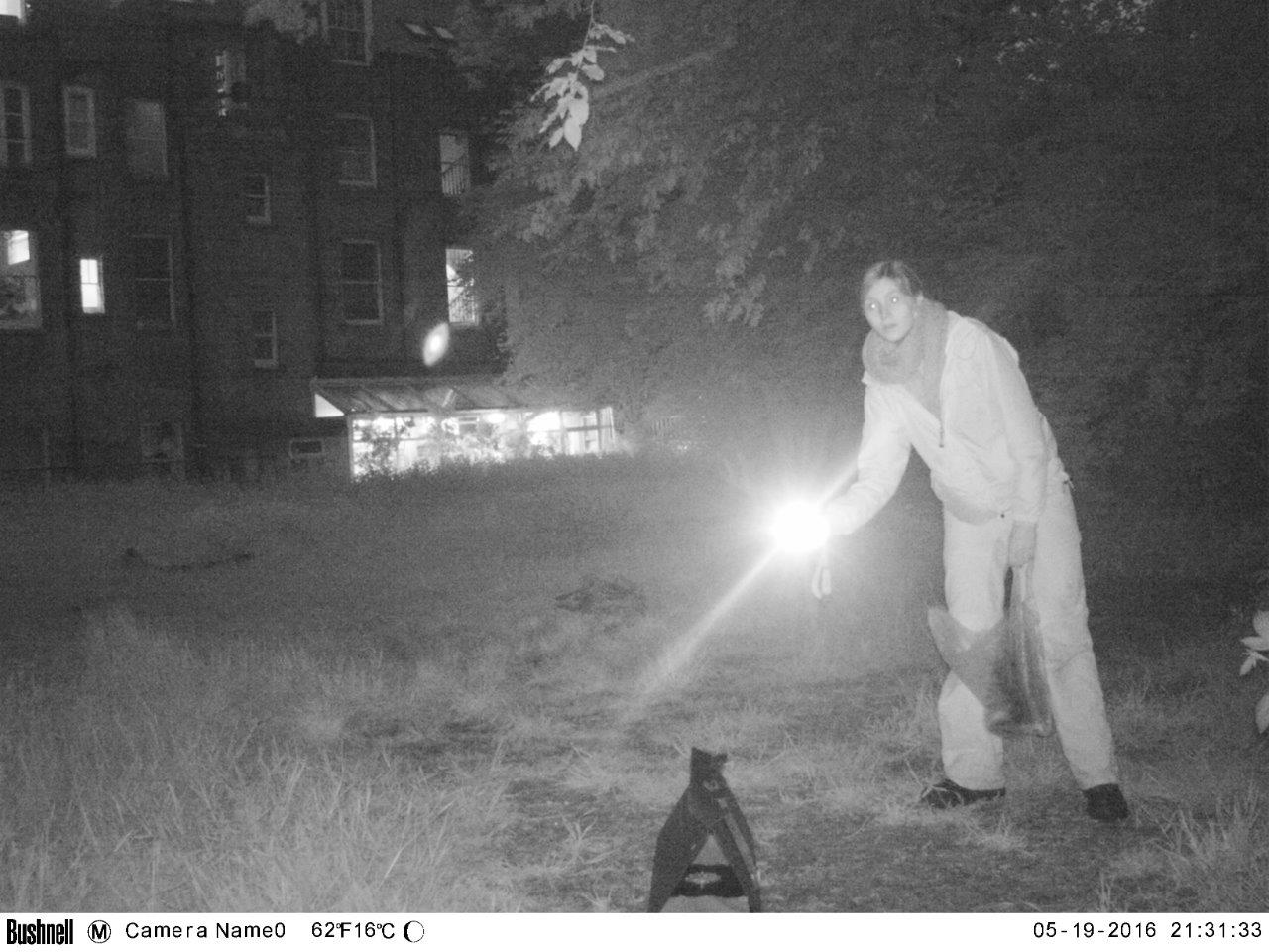 Volunteer on torchlight hedgehog survey