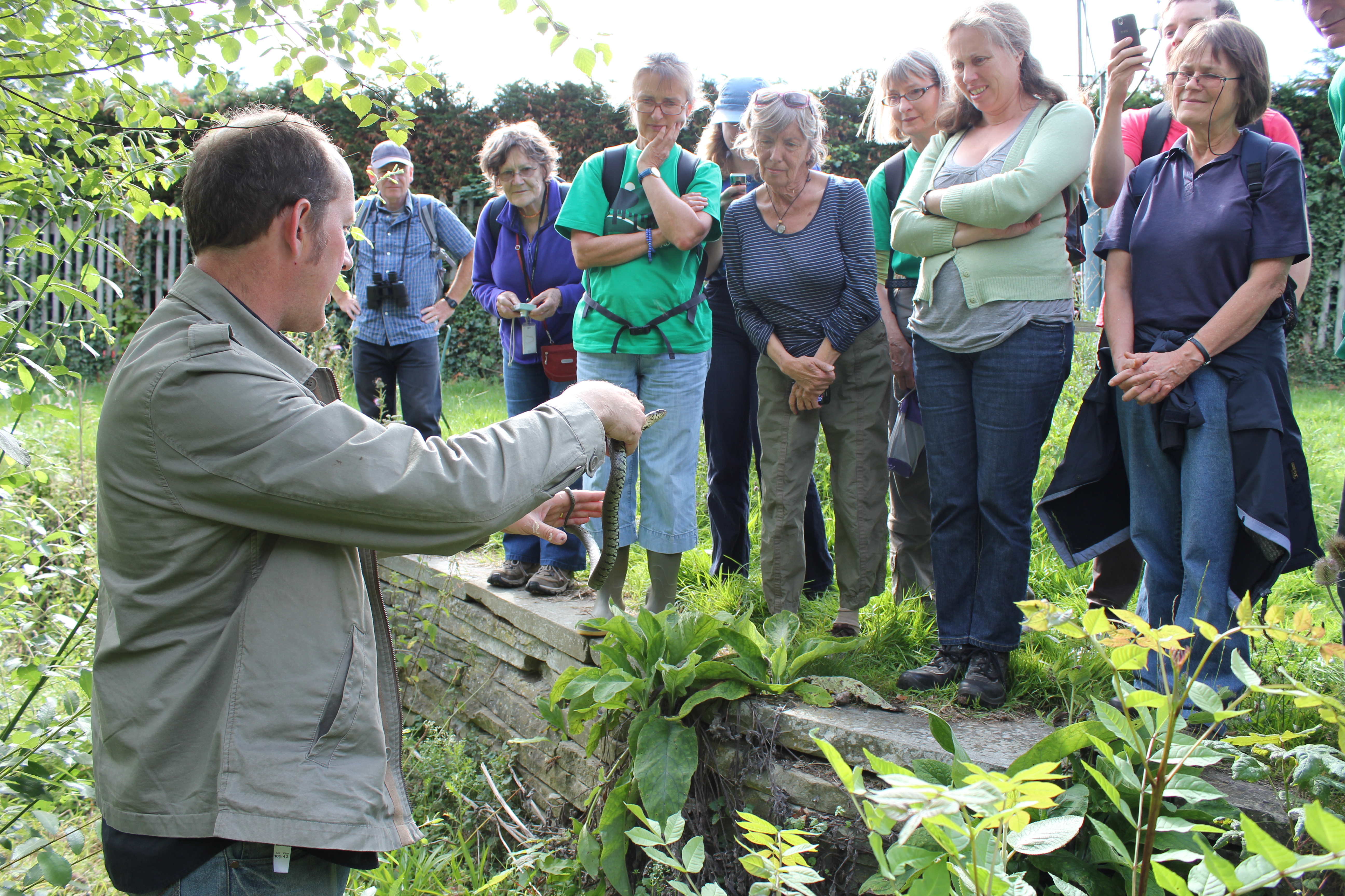 Reptile Monitoring training