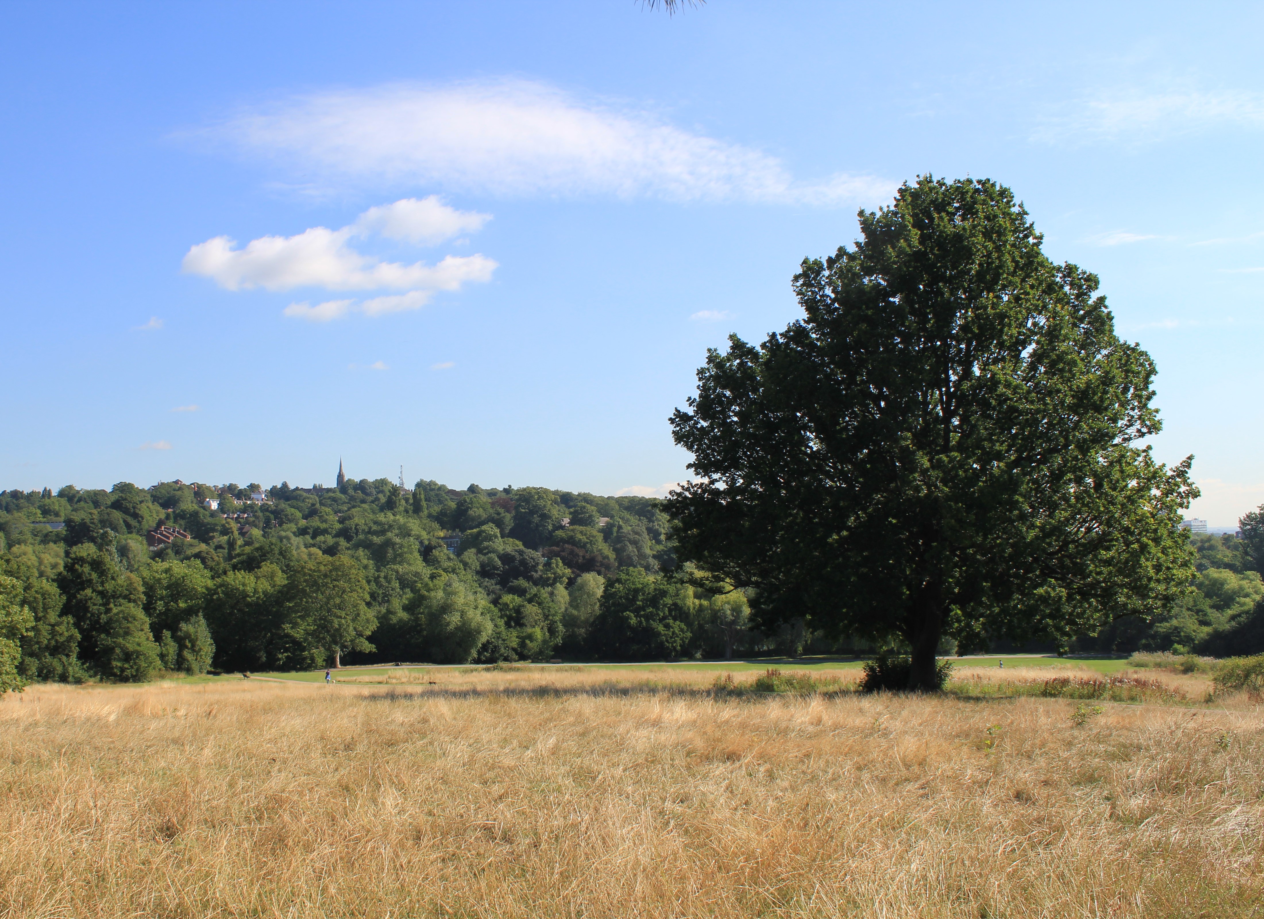 Pryor's Feld in summer