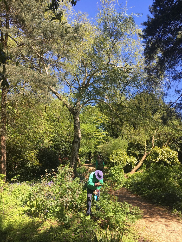 whitestone garden