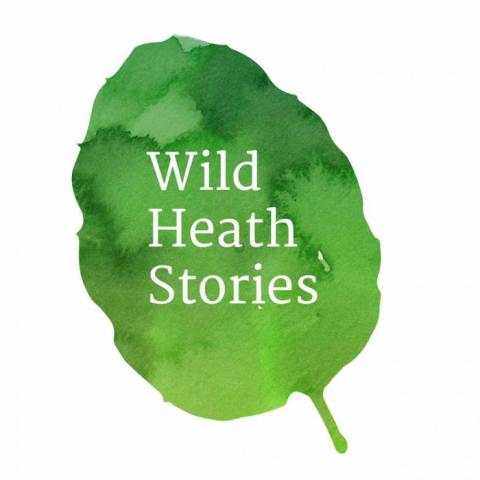 Wild Heath Stories Logo